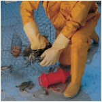 Best- Value Master Gloves, Unlined