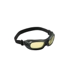 Wildcat Wildland Goggles - Clear, Anti-Fog
