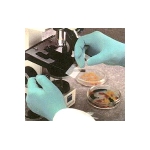 Best DERMA THIN Disposable Latex Gloves