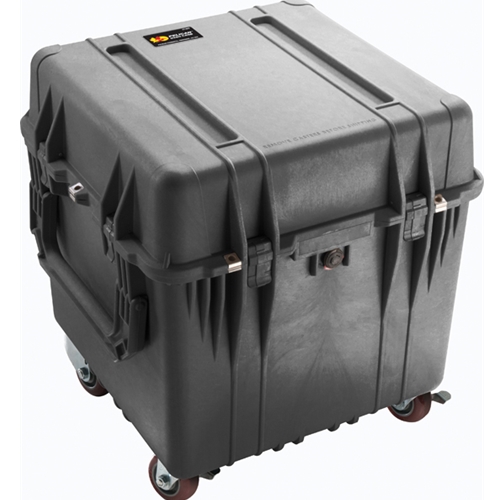 Pelican™ 0350 Case