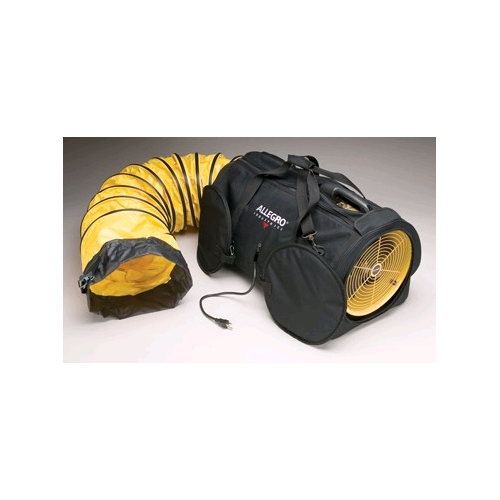 Allegro Air Bag 8