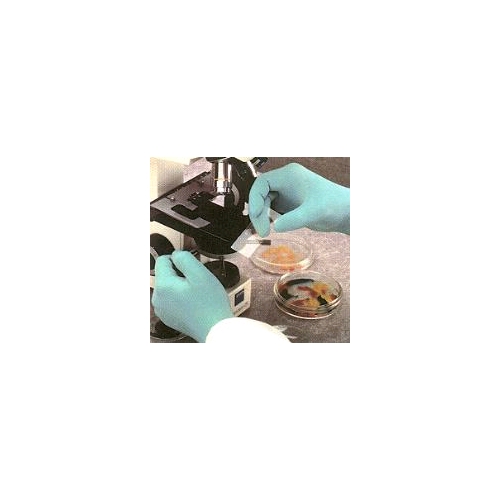 Best DERMA THIN Disposable Latex Gloves, White